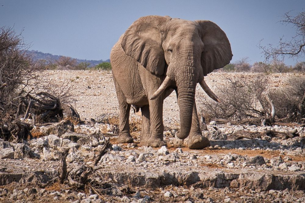 Rejse til Kap Verde: Oplev Øgruppens Skønhed og Kultur